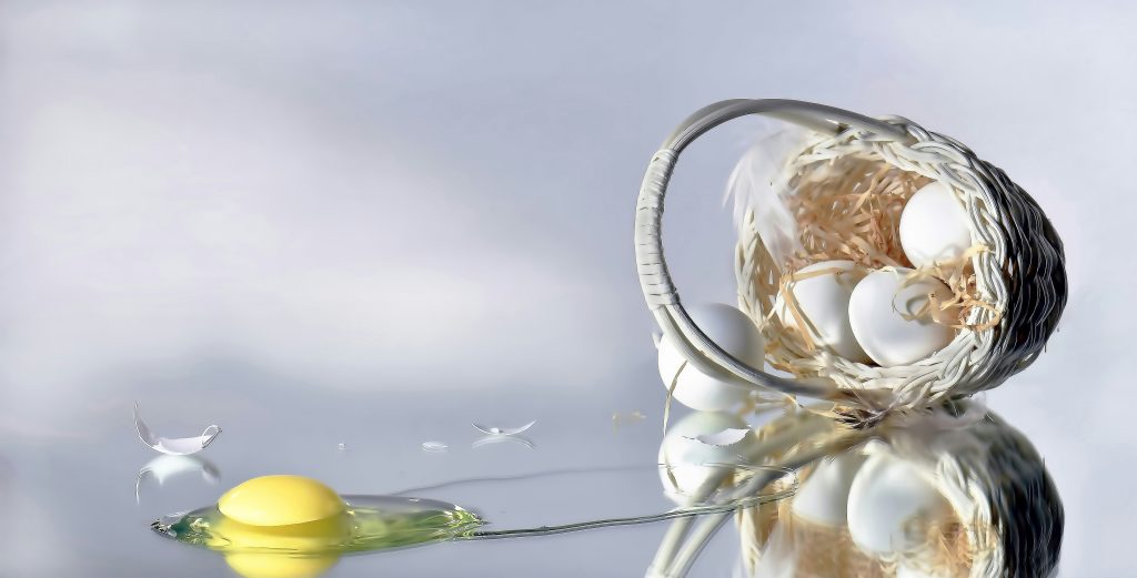 eggs basket fragile risk financial metaphor