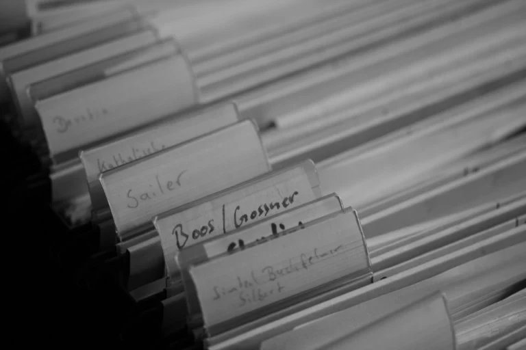 personal knowledge database library notes professional organized