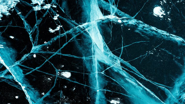 brain language neurons abstract thought
