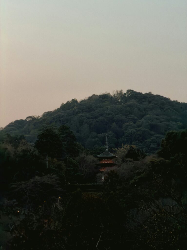 Japanese forest morning mist green light peaceful