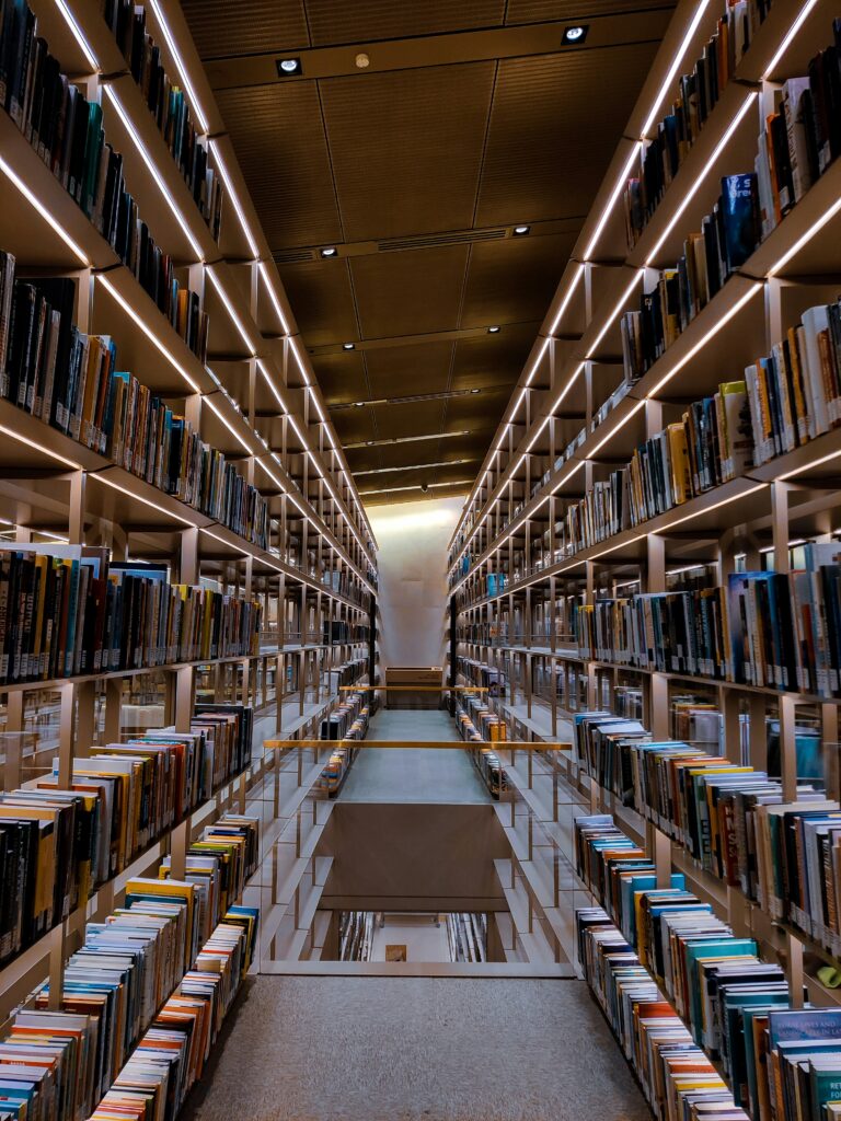 arabic books library bookshelf modern literature