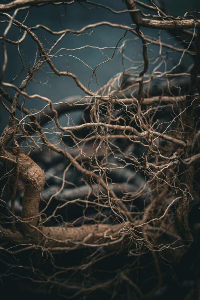 branching tree abstract dark nodes network