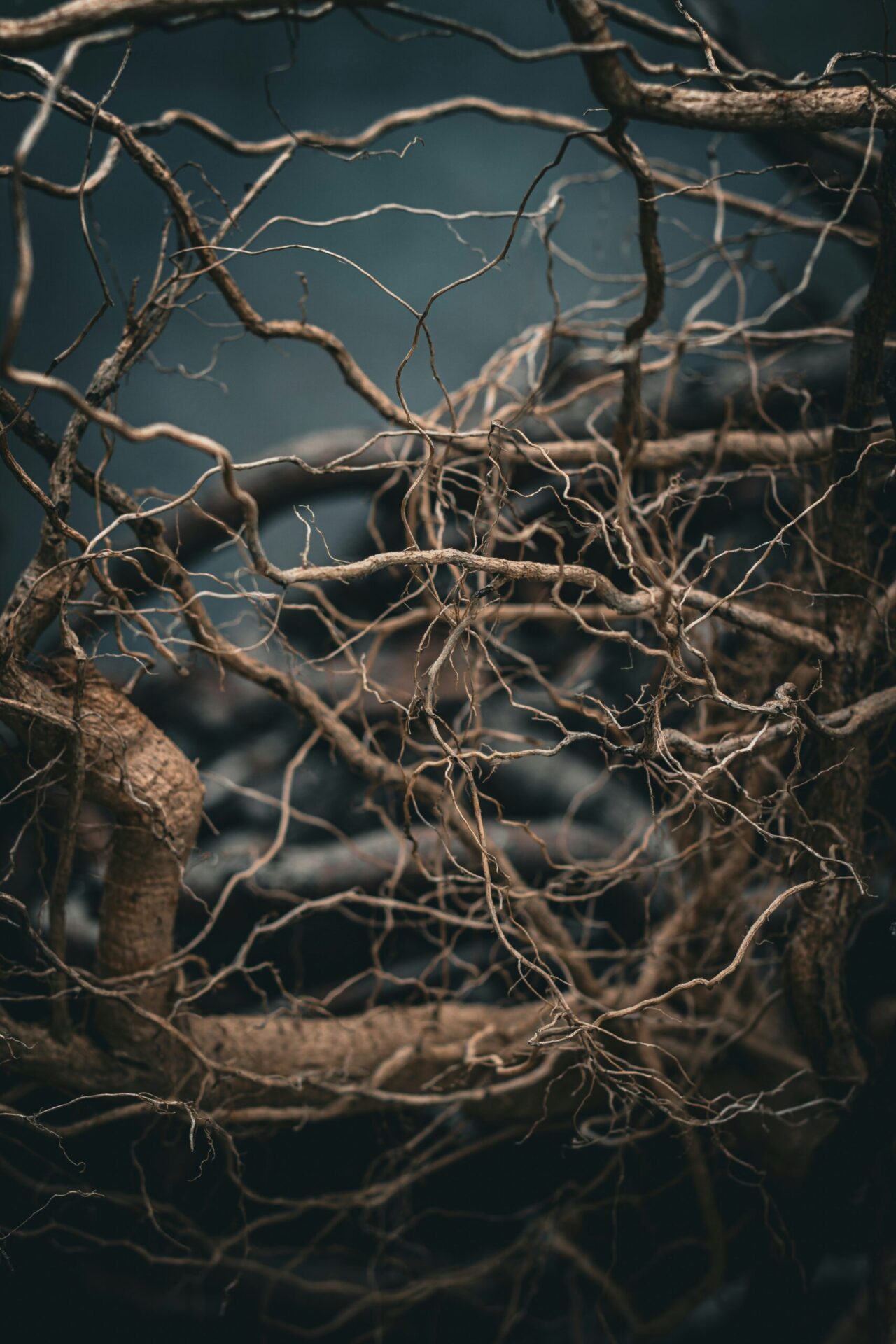Tree-of-Thoughts