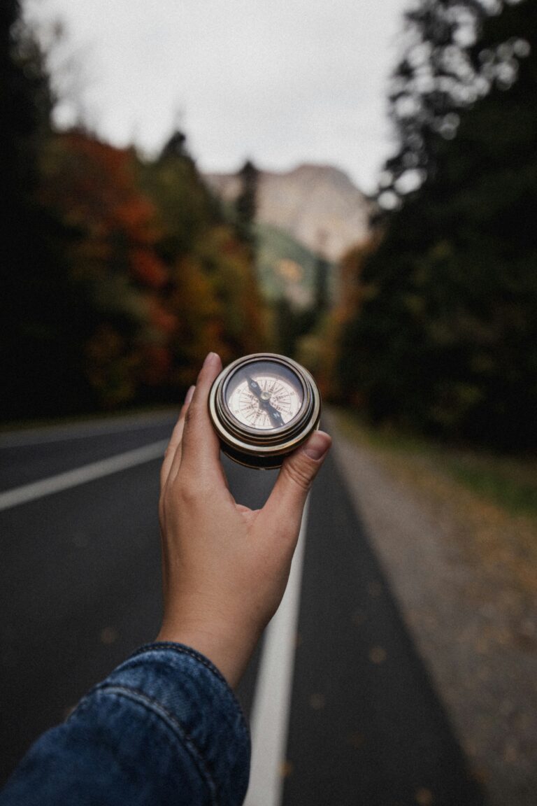 compass navigation decision path