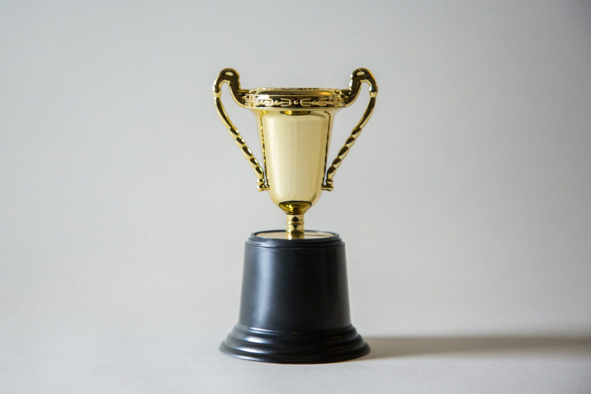 The Prize Economy: Shaping the Novel