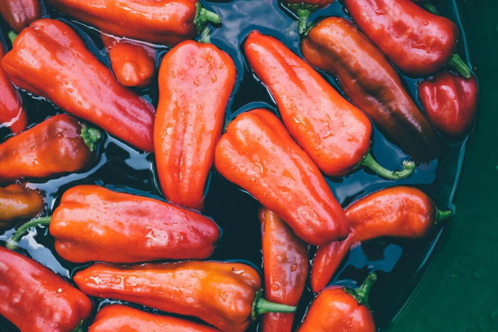 fresh-vegetables-harvest