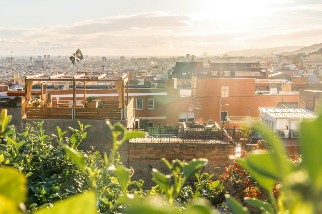 rooftop-garden-vegetables-growing