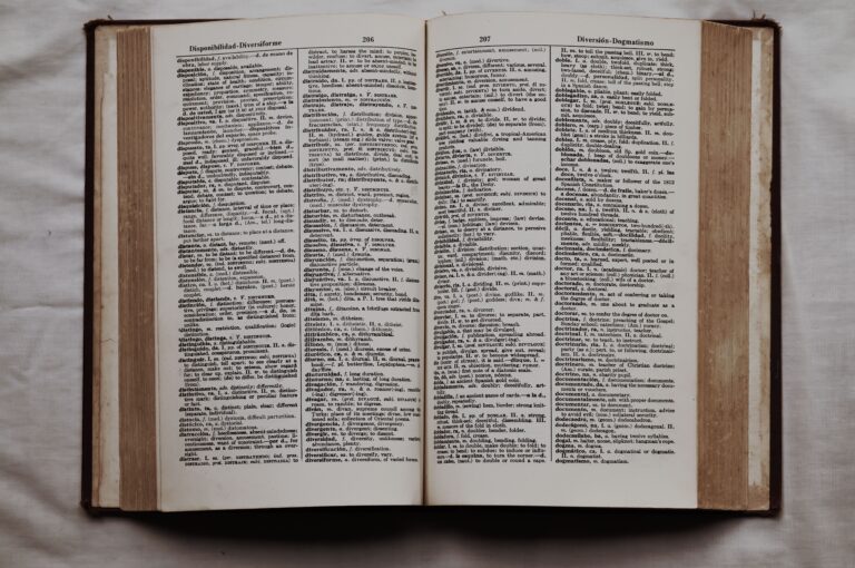 open-spanish-dictionary-flatlay